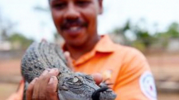 ASRAC Crocodile Hatchery