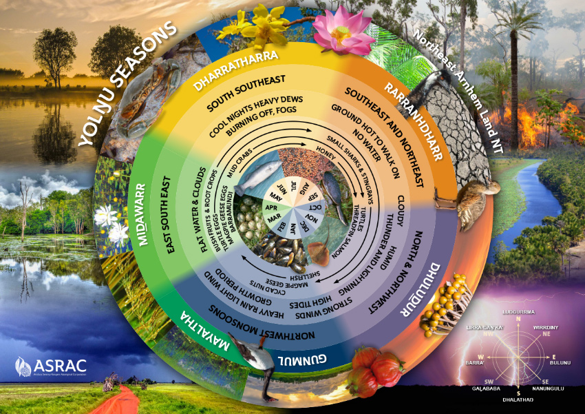Yolngu Seasons English