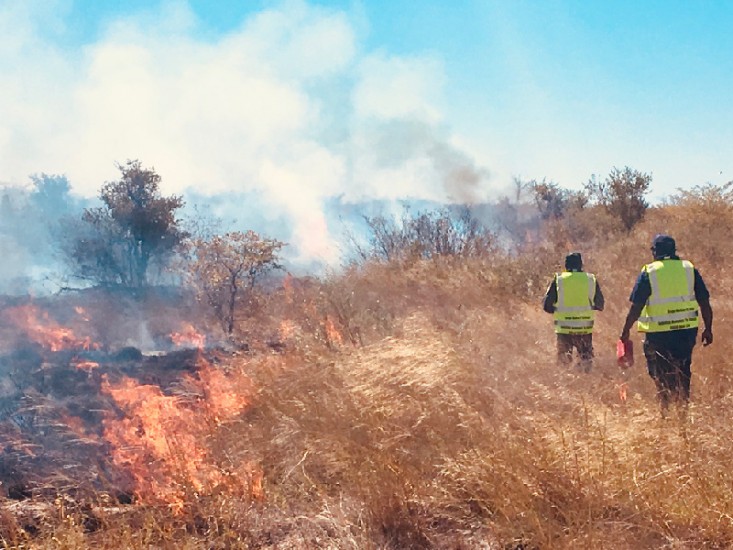 ASRAC’s Otto Campion and Bayo Taylor leading an Indigenous burning demonstration at a field site adjacent to the Nxai Pan National Park in northwest Botswana.