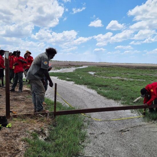 Neville Gulaygulay and Learning on Country students measuring a buffalo swim channel.